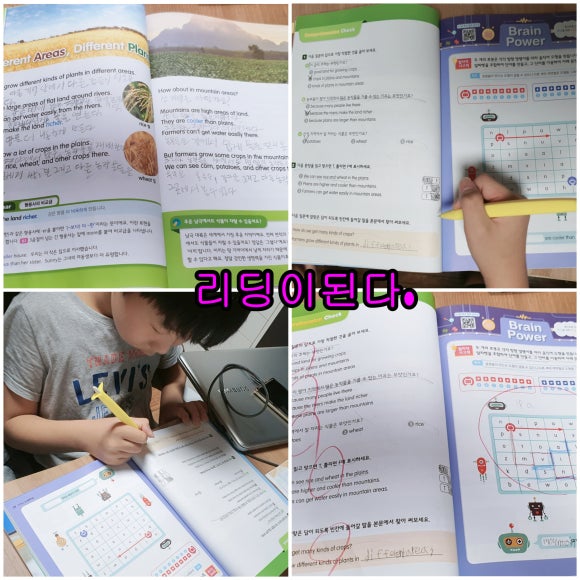 자라다plant 이미지