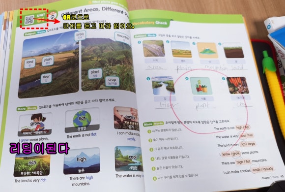 자라다plant 이미지