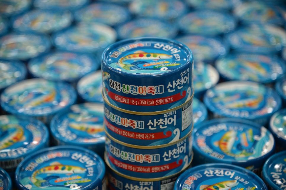 화천산천어가공 이미지