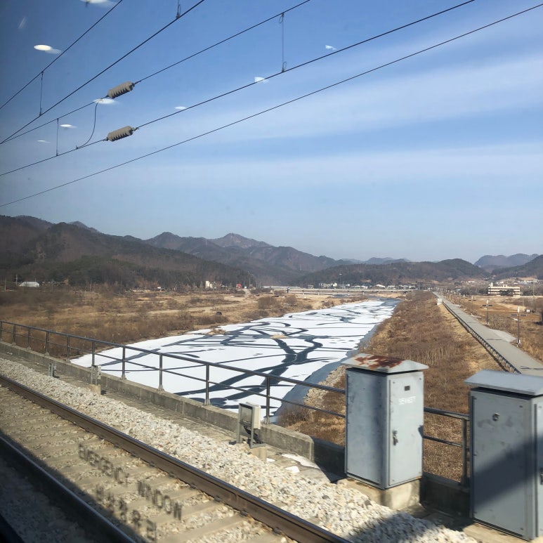 달코미아이스크림 이미지