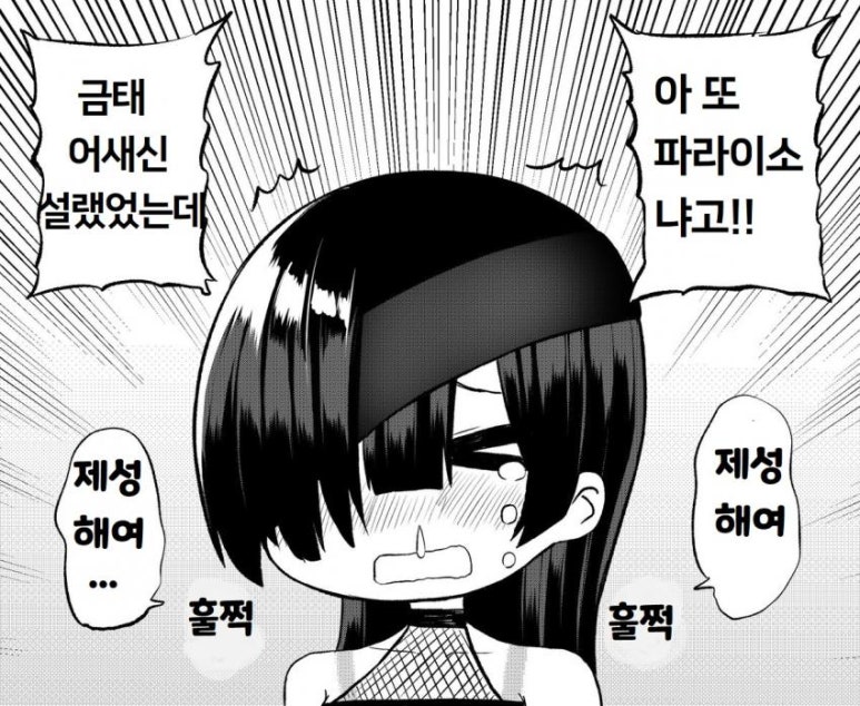 파라이소 이미지