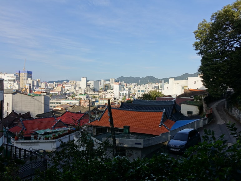 사직공원 유아숲체험원 이미지