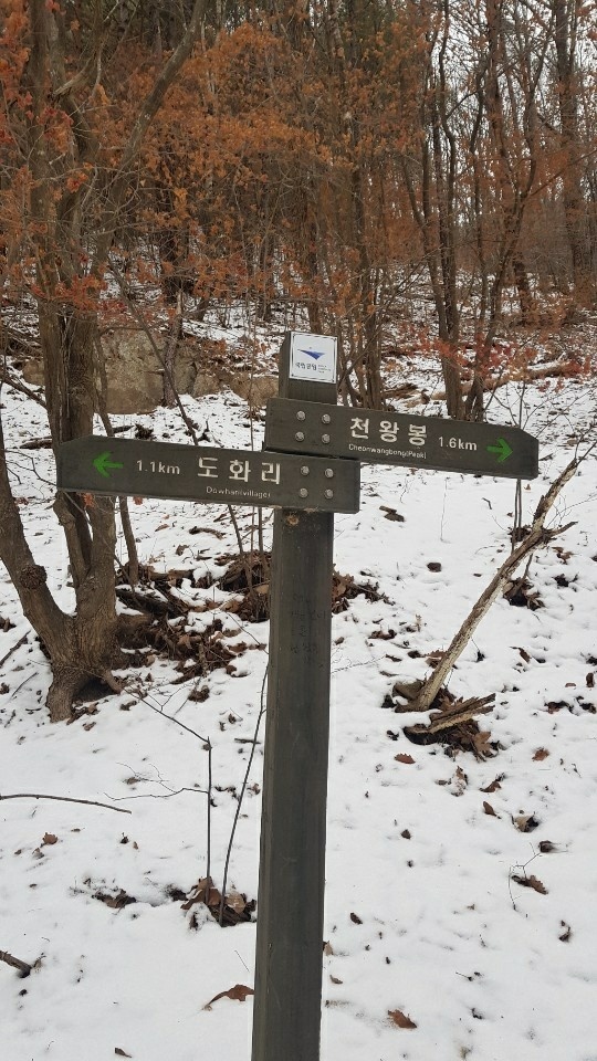 대청사 이미지