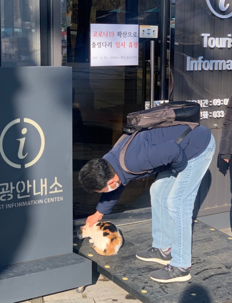선매운탕 이미지