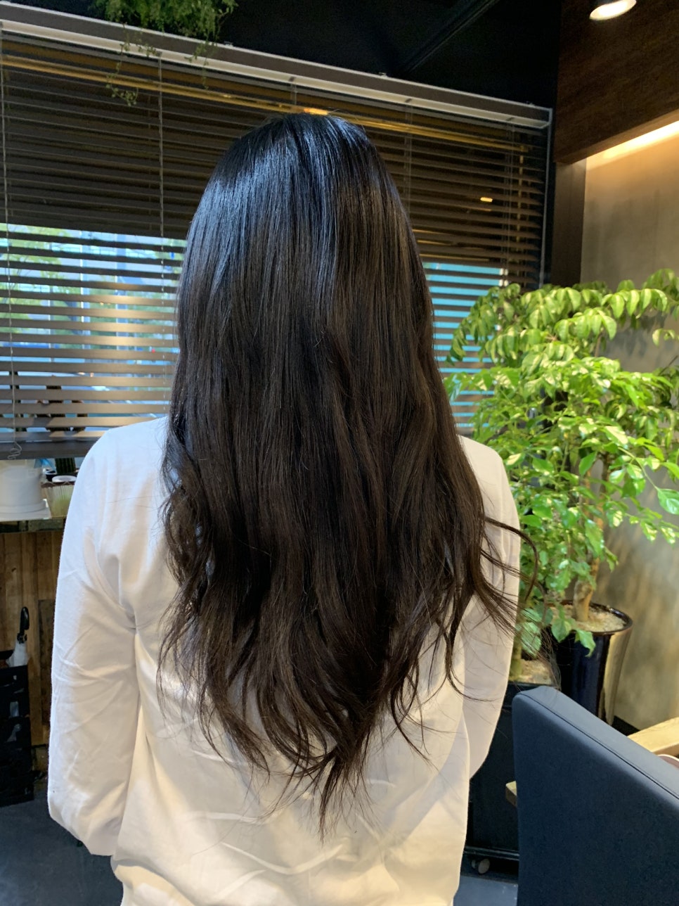 디자인바이비 이미지