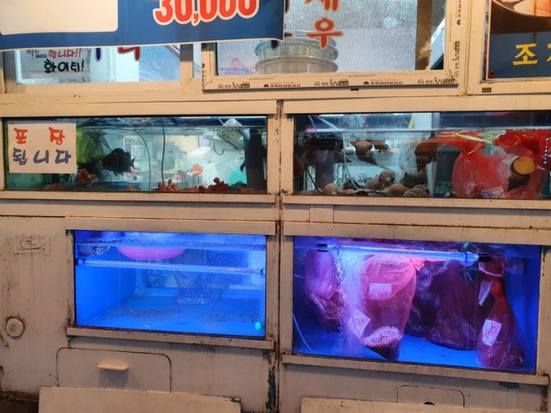 옥동돌문어자연산해산물 이미지