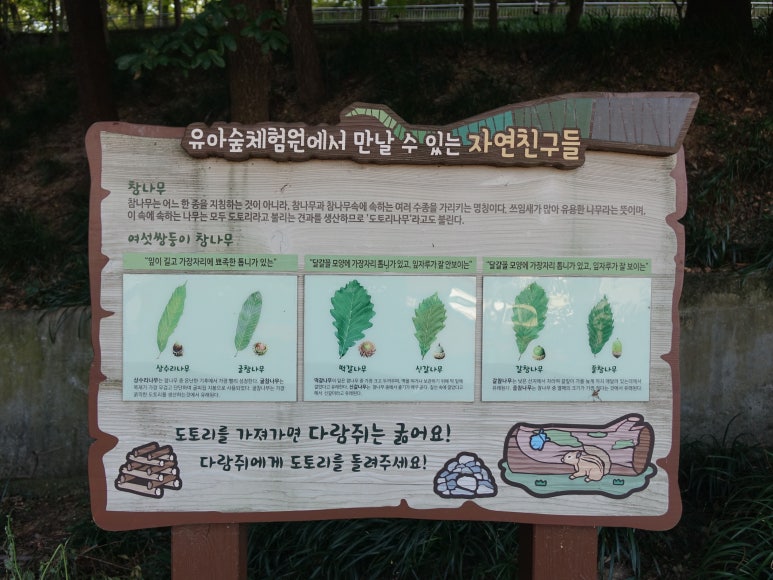 사직공원 유아숲체험원 이미지