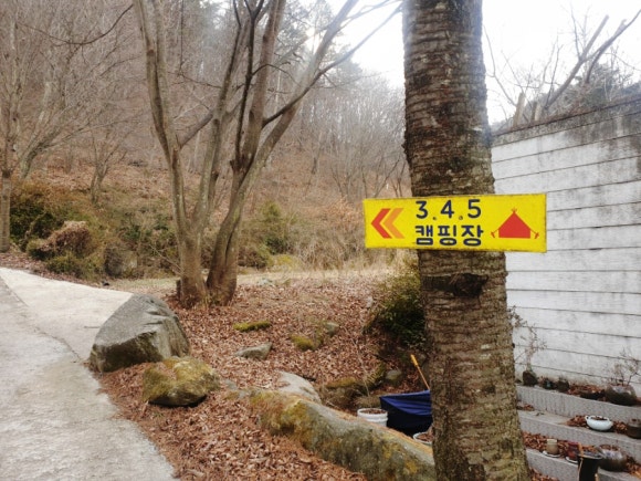 양지생태마을캠핑장 이미지
