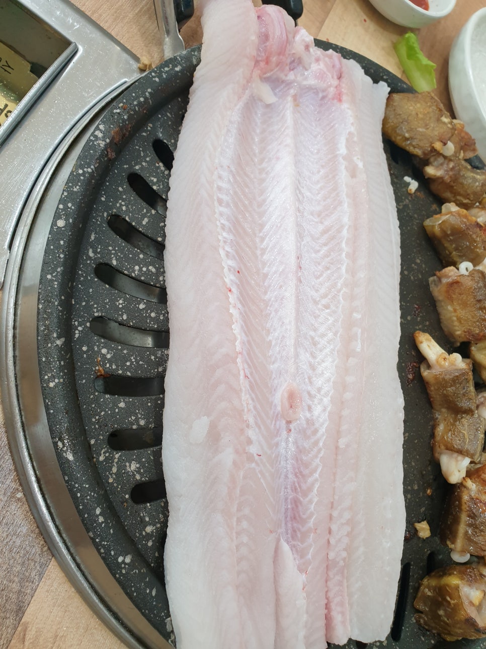 노형바다장어 이미지