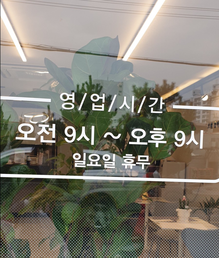 베리국 이미지