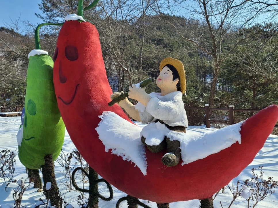 행정사사무소본 이미지