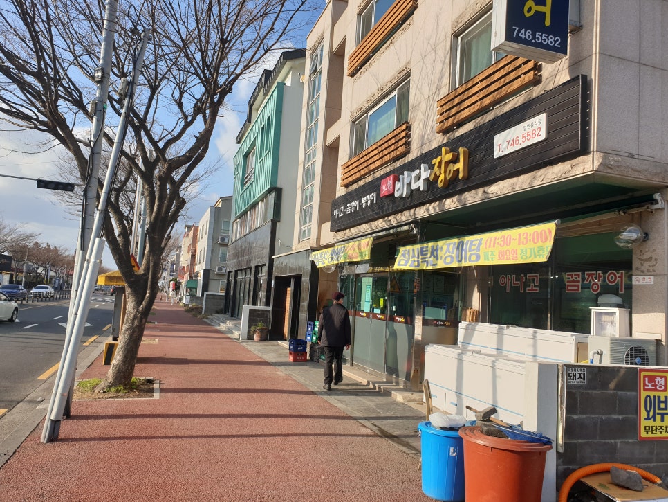 노형바다장어 이미지