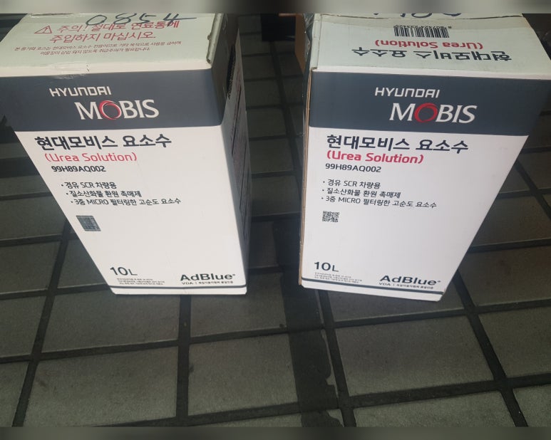 애니카랜드신 이미지