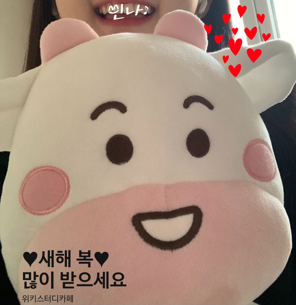 위키스터디 이미지