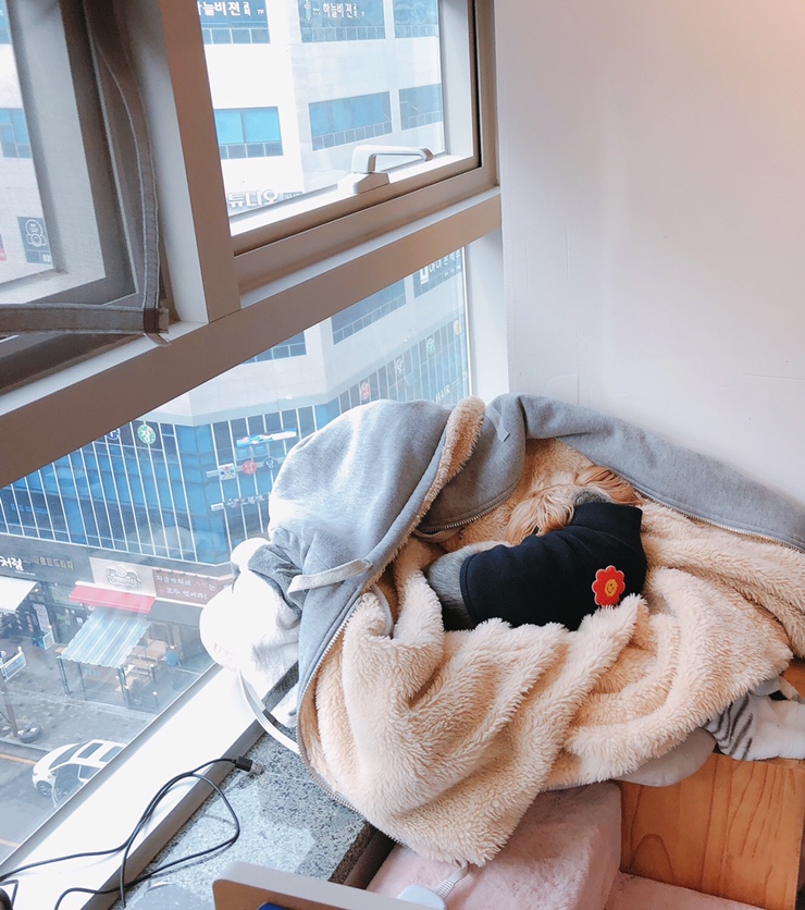 원바이원(one by one) 이미지