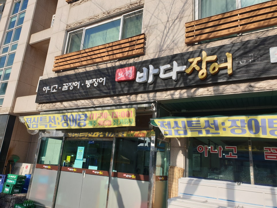 노형바다장어 이미지