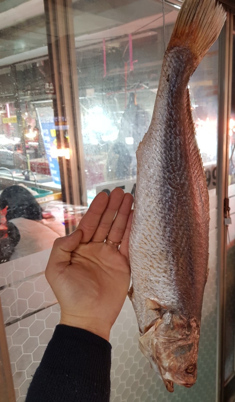 영희수산 이미지