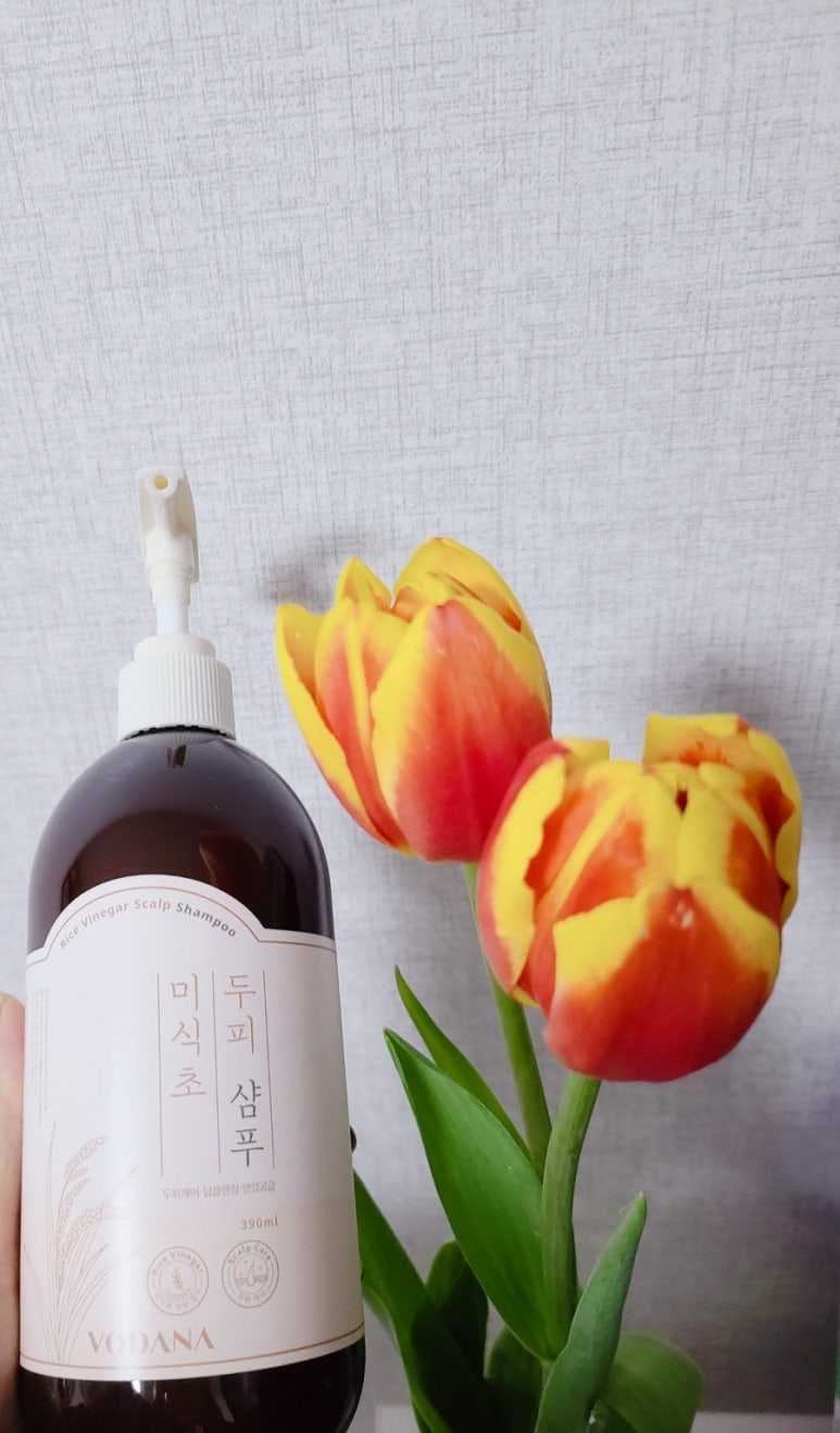 들꽃내음새 이미지