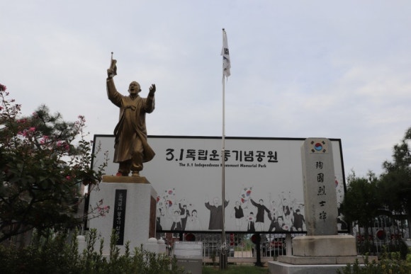 솜리치킨 이미지