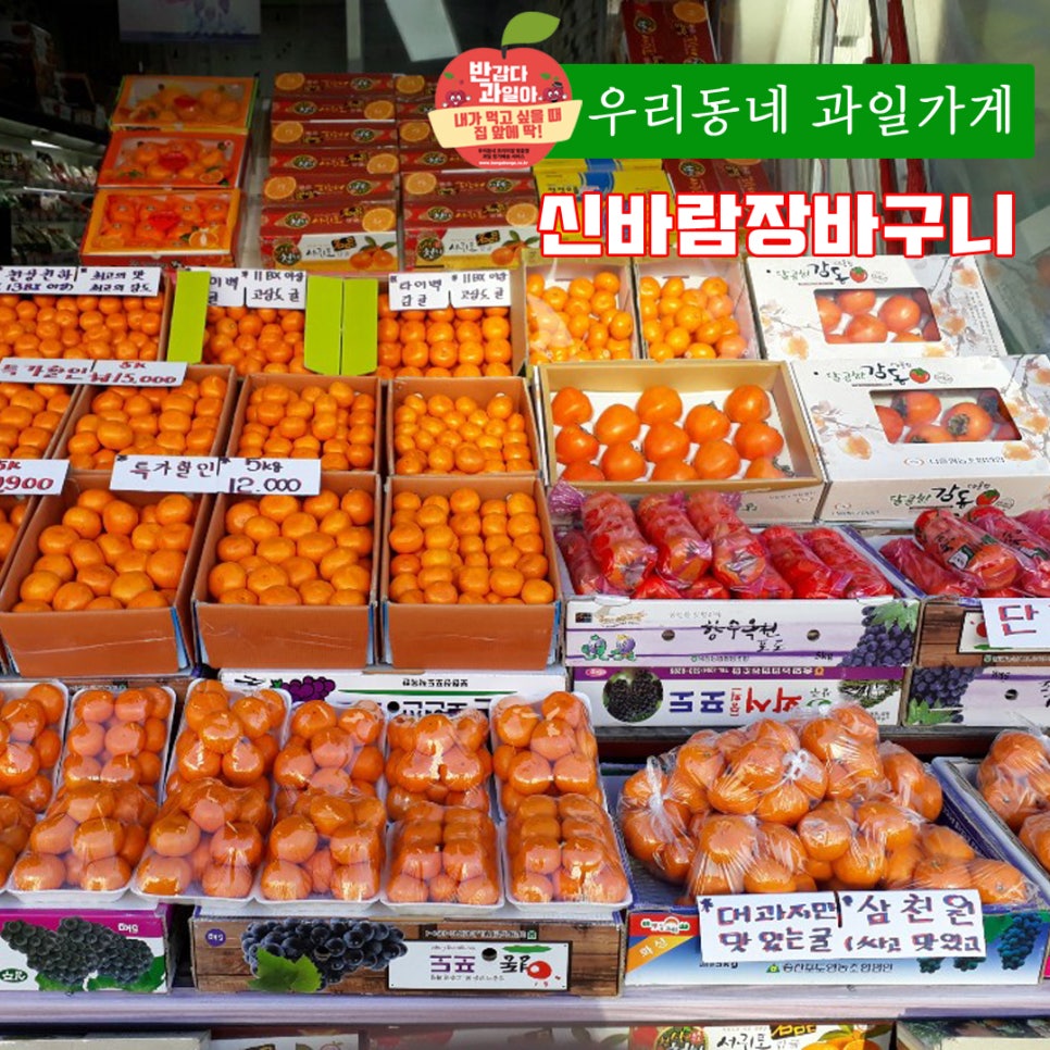 신바람과일 이미지