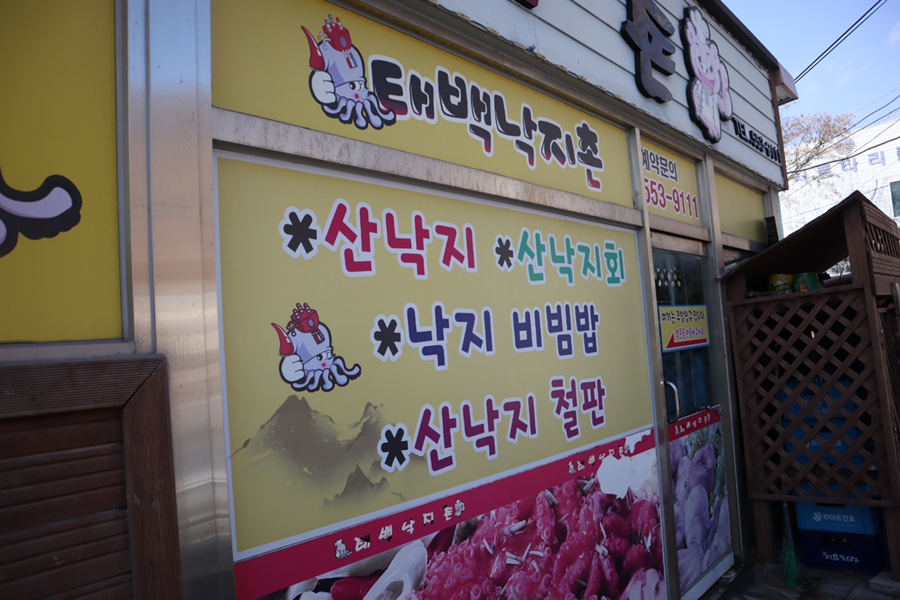 태백낙지촌 이미지