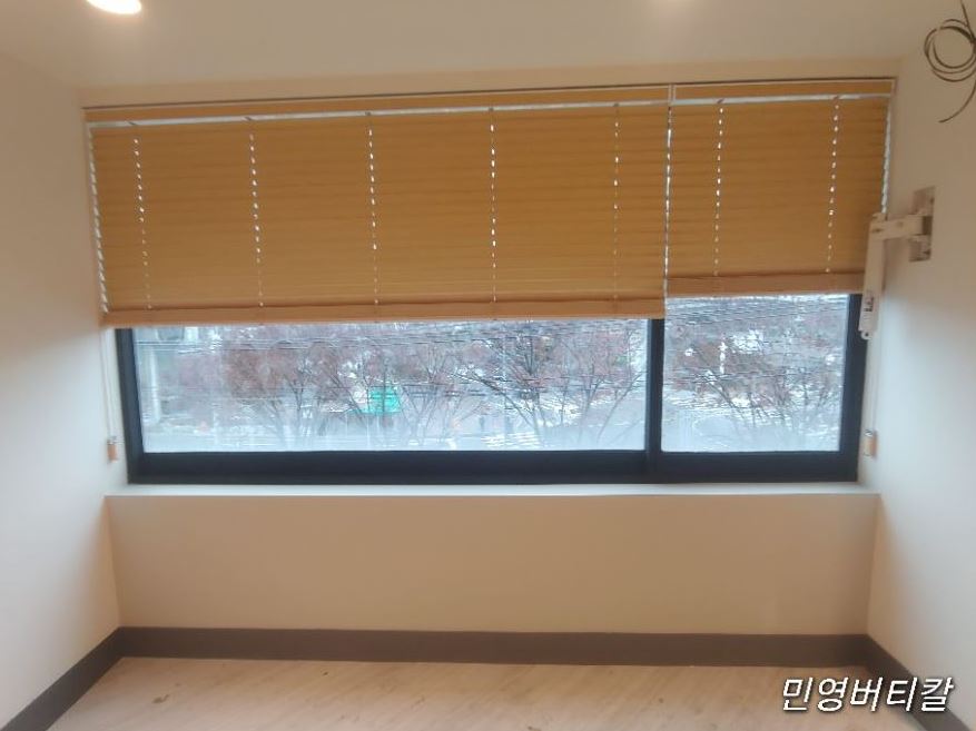 블라인드나무 이미지
