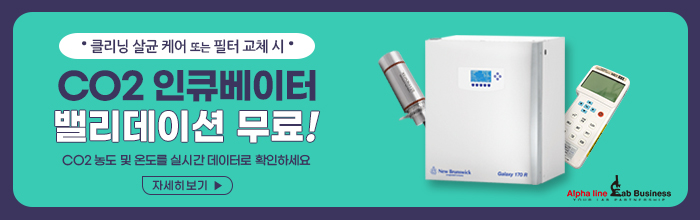 비엔프리 이미지
