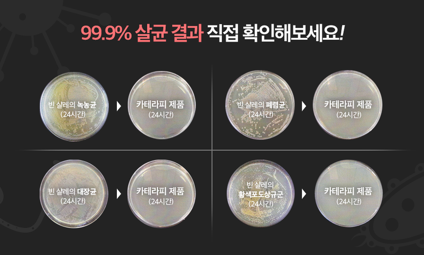 썬팅멀티샵 이미지