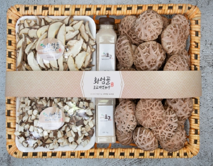 표담 이미지