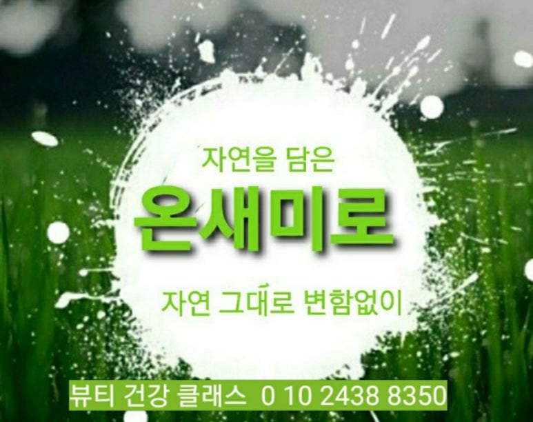 피누스스토어온새미로 이미지