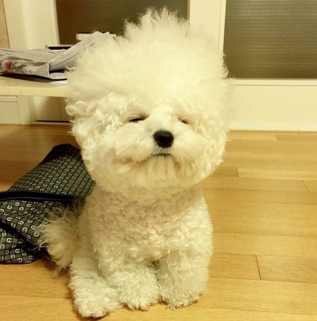토스트하우스 이미지