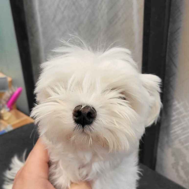 미용타운 이미지