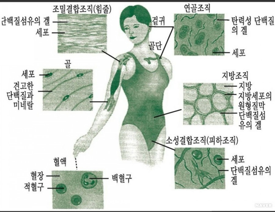 뷰티인터내셔널 이미지