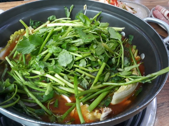 밀밭샤브 이미지