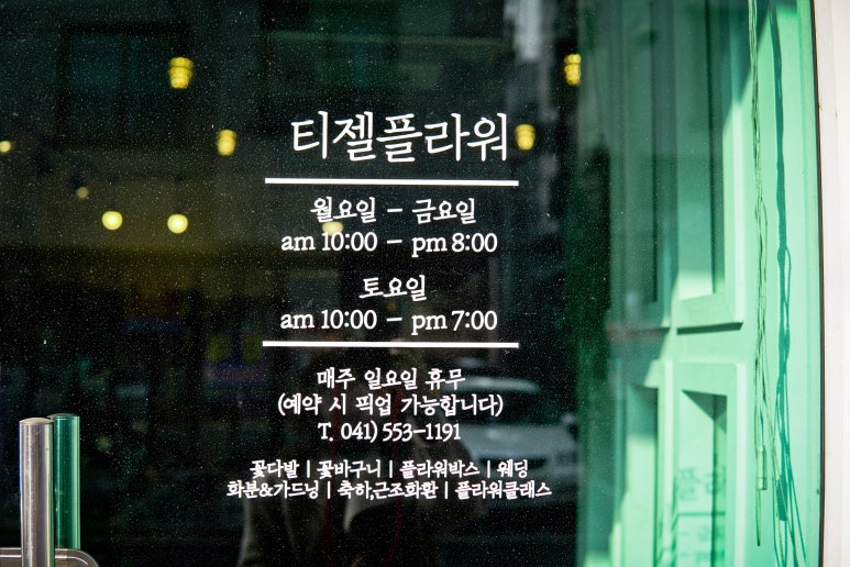 티젤플라워 이미지