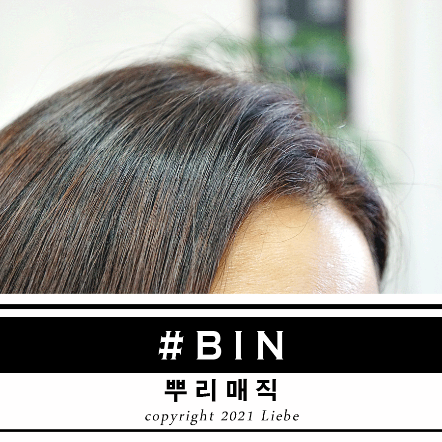 샾비아이앤 이미지