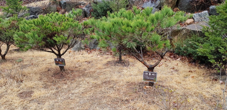 속초동해장례식장 이미지