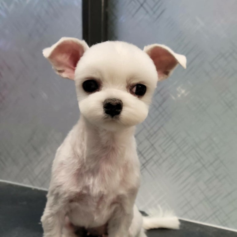 미용타운 이미지