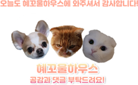코스트코홀세일베이커리1 이미지
