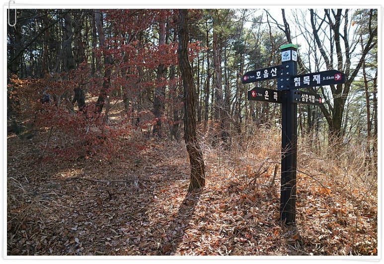 호음산 정상 이미지