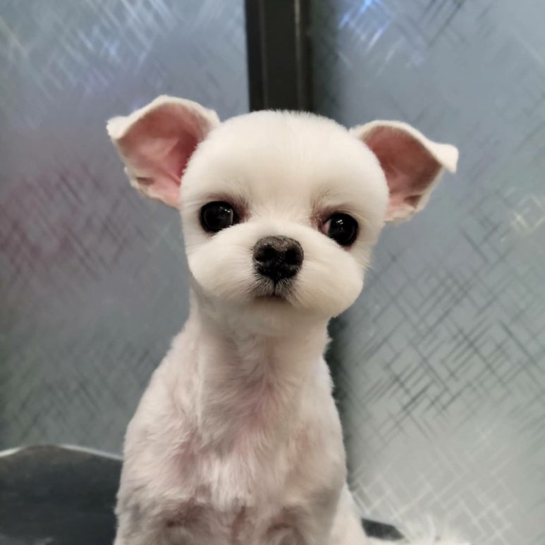 미용타운 이미지