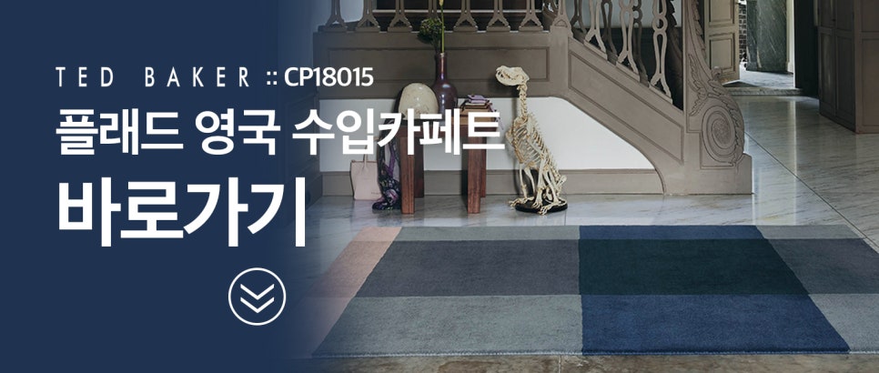 테드디자인 이미지