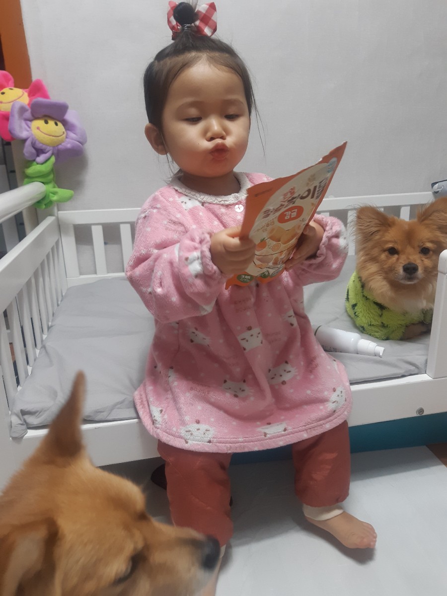 하이롤 이미지