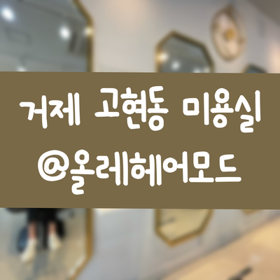 올레헤어모드 이미지