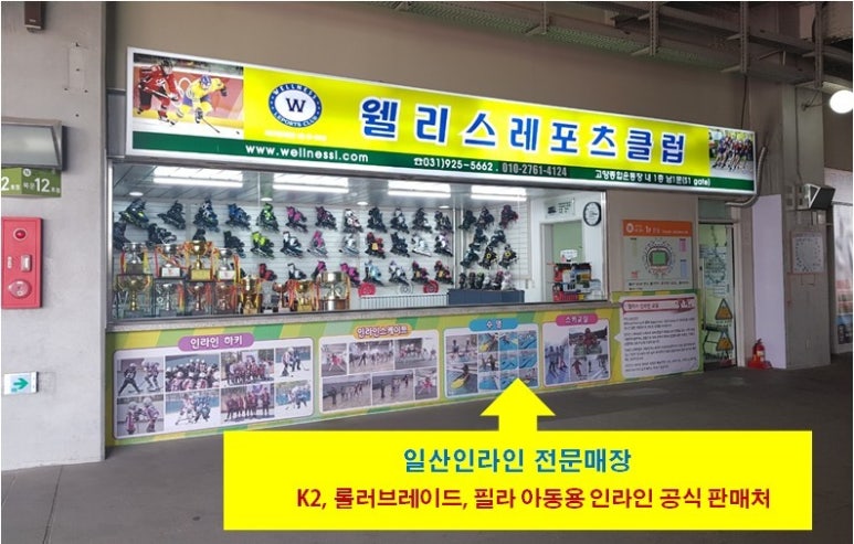 웰니스레포츠 이미지