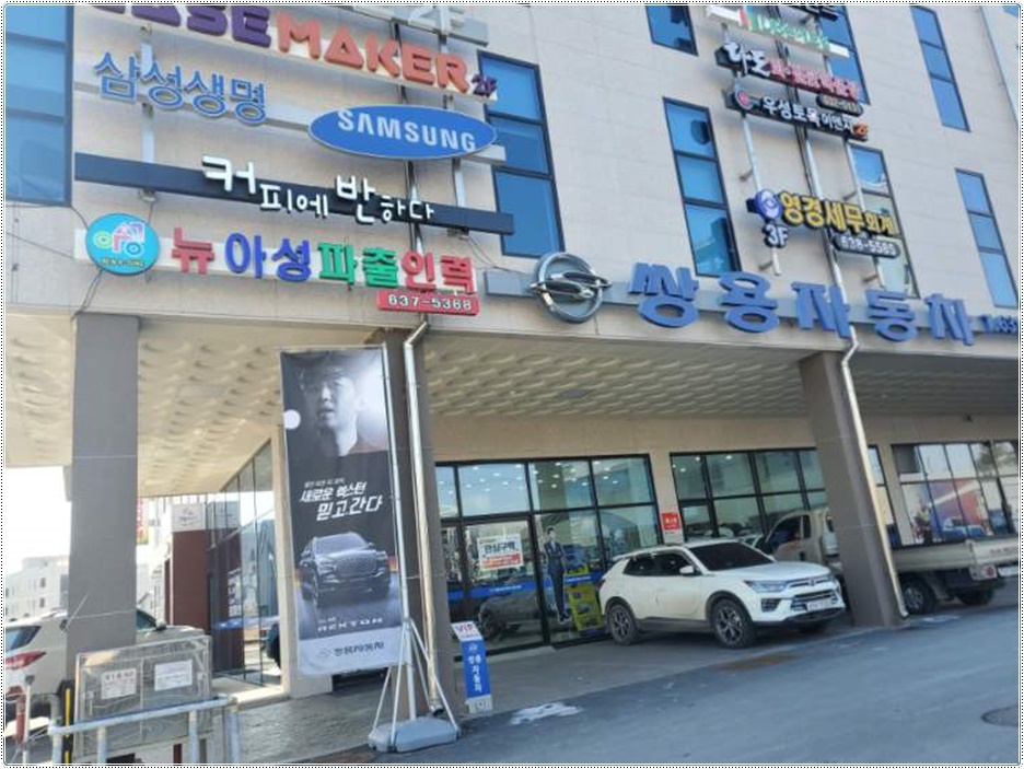 뉴아성인력 이미지