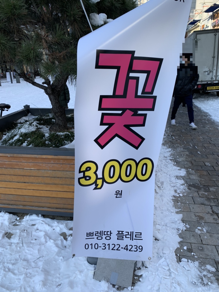 쁘렝땅플레르 이미지