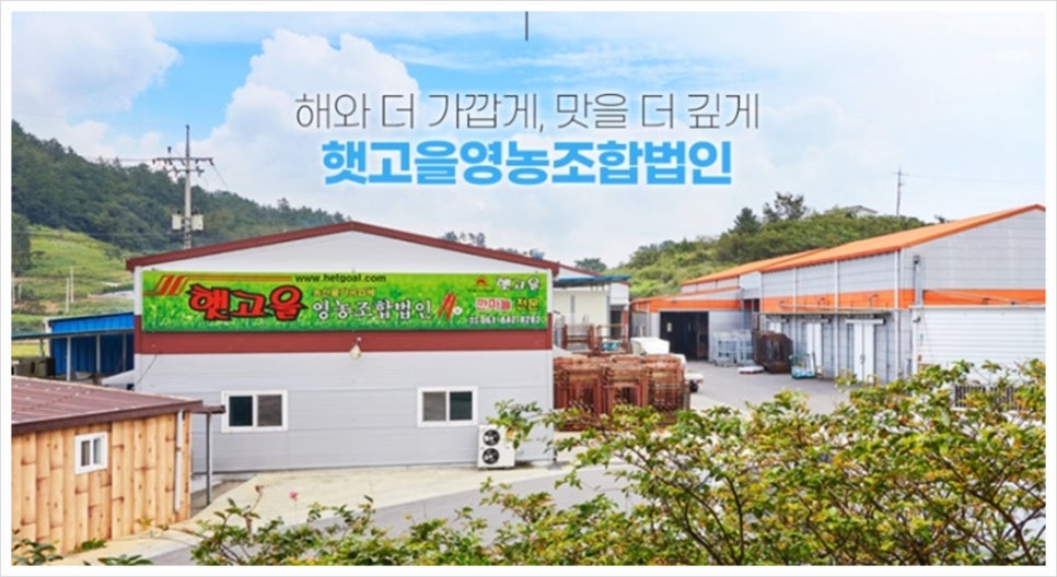 햇고을영농조합법인 이미지