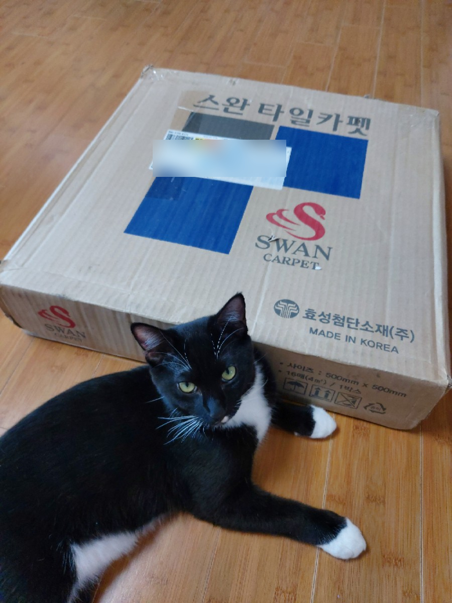 한성데코 이미지