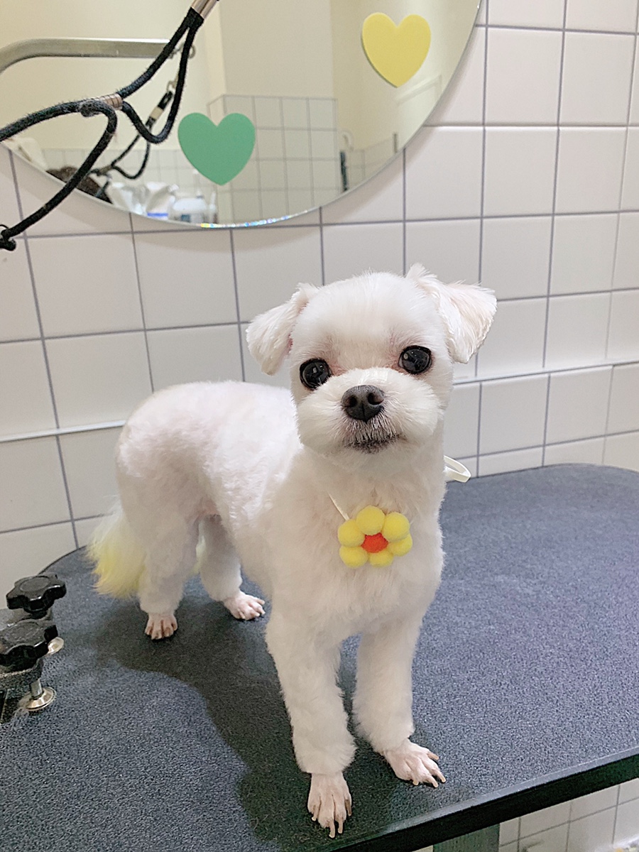위드스테이부산 이미지